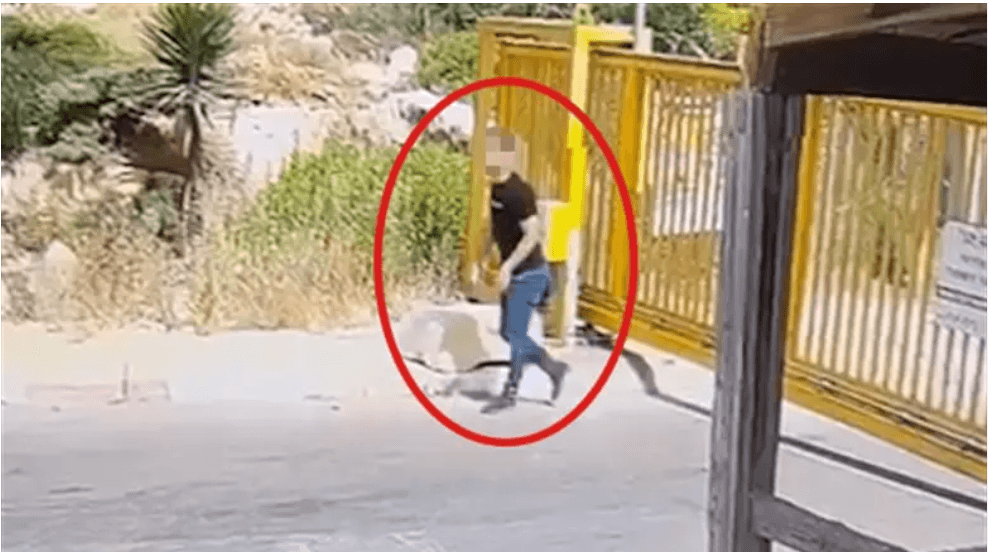 Un attentat évité de justesse près de Hevron