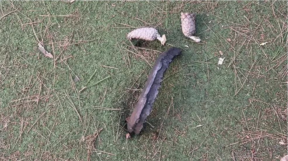 Un débris de roquette découvert dans la cour d’une école maternelle à Jérusalem