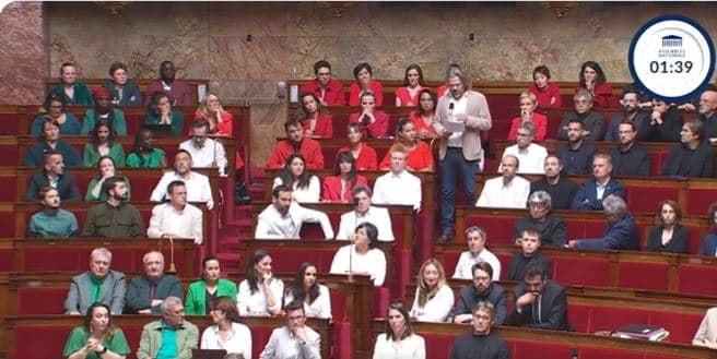 Assemblée nationale: les députés LFI se sont habillés aux couleurs du drapeau palestinien