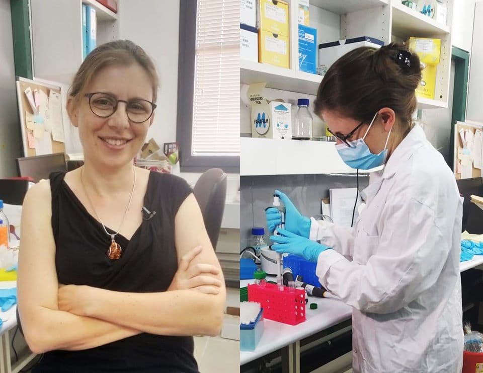 D'où viennent les variants du Covid 19?