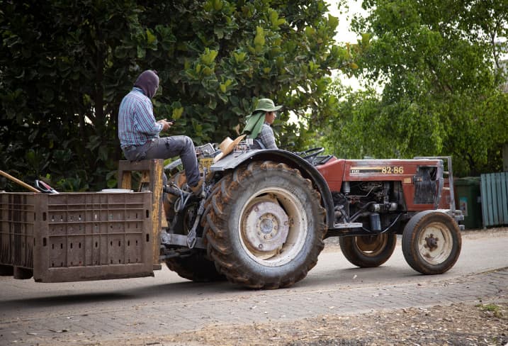 Le gouvernement veut faire venir 80000 travailleurs étrangers pour remplacer la main-d’oeuvre palestinienne