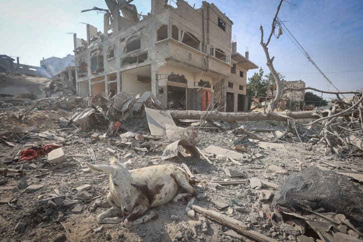 L’ONU demande de laisser entrer une aide humanitaire à Gaza