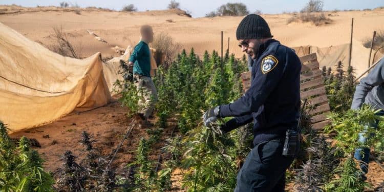 Opération "anti-drogue" dans le Néguev
