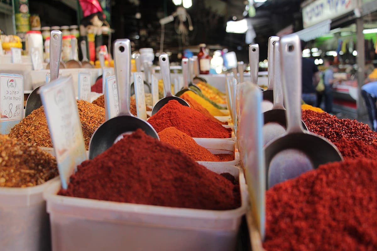 Les aventures extraordinaires de Moïse Lévy – Episode 6. Par Eden Levi-Campana