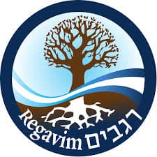 L’Union européenne impose des sanctions à plusieurs habitants juifs de Judée-Samarie ainsi qu’à des associations israéliennes