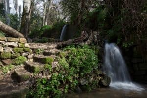 Suivez le guide : les sources du Banias