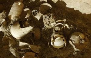 Archéologie : surprenante découverte près de Beit-El