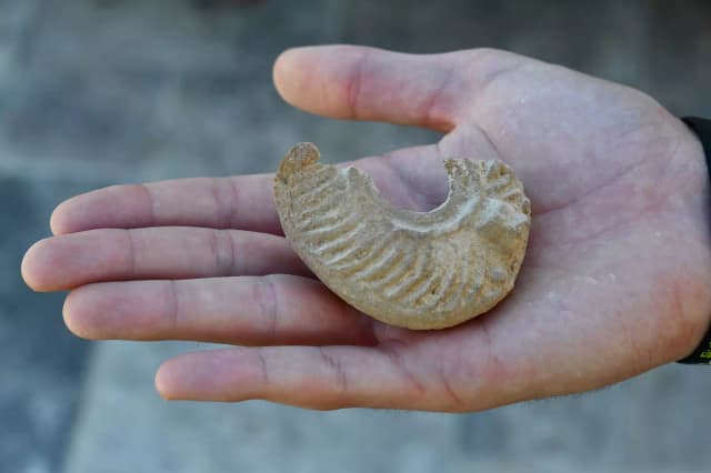 Un lycéen découvre une lampe à huile datant du 4e siècle