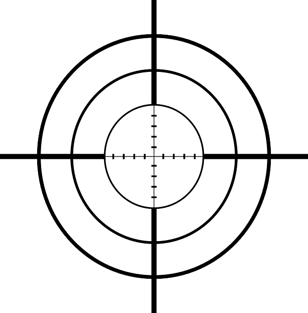 Elimination ciblée à la frontière libano-syrienne